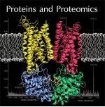 蛋白質(zhì)與蛋白組學(xué)